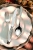 3.webp